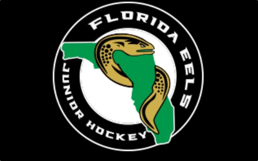 Florida Eels